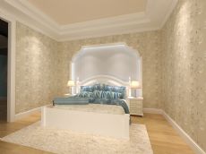 Functional wall paint