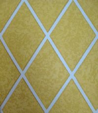 Finished diatom mud wall paint