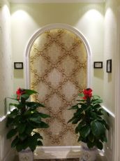 Diatom mud wall paint for colorful wall