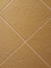 Diatom ooze textured wall material