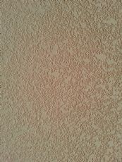 Diatom ooze embossed wall coating