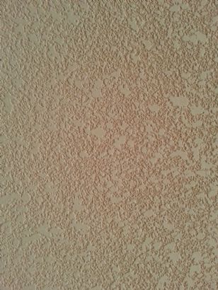 Diatom ooze embossed wall coating