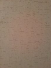 Embossed diatom ooze wall paint