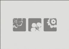 Diatom Ooze Interior Wall Coating