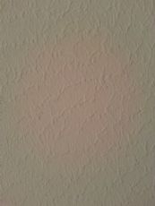 Elegance wall create by diatom ooze