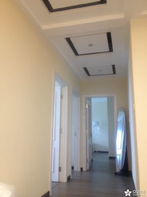 diatom mud net color