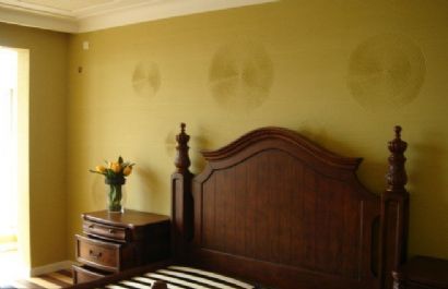 diatom mud wall texture