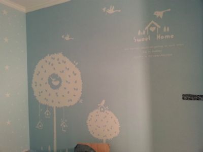 diatom mud wall stikers