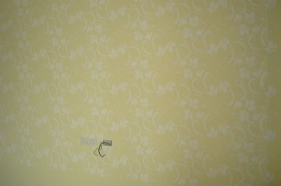 diatom mud silk paint