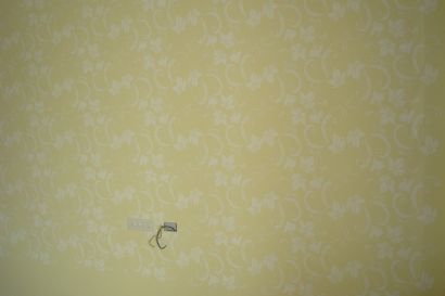 diatom mud silk paint