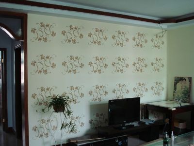 diatom mud silk paint