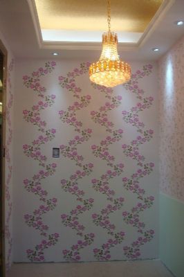 diatom mud silk paint