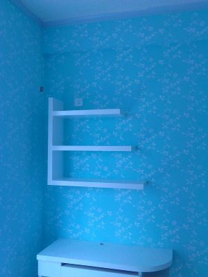 diatom mud silk paint