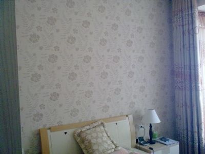 diatom mud silk paint