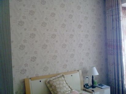 diatom mud silk paint