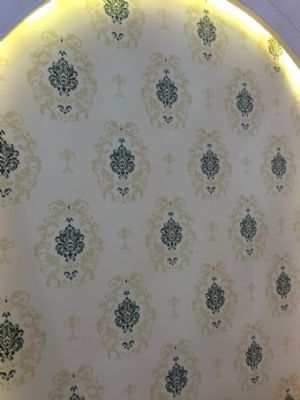 diatom mud silk paint