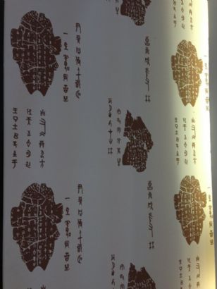 diatom mud silk paint