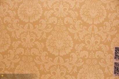 diatom mud silk paint