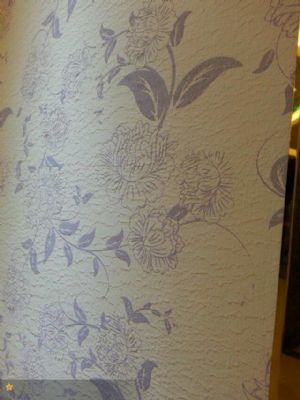 diatom mud silk paint