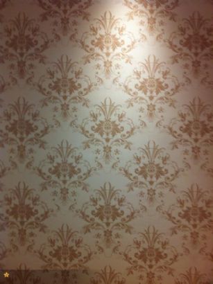 diatom mud silk paint