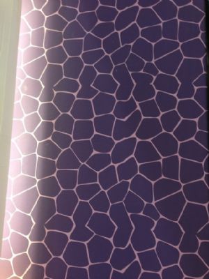 diatom mud silk paint