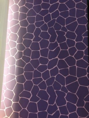 diatom mud silk paint