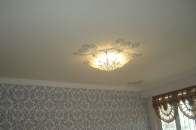 diatom mud silk paint