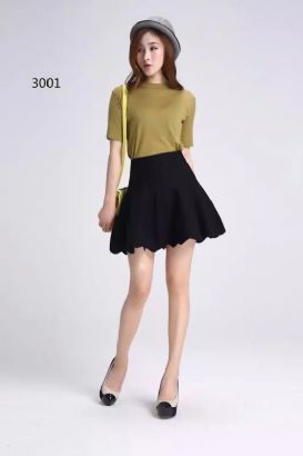 women winter skirt