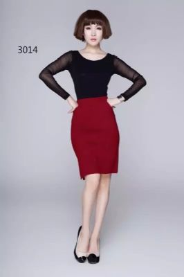 women winter skirt