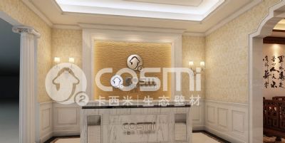 releasing anion diatom mud texture paint