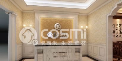 releasing anion diatom mud texture paint