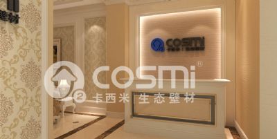 Odorless diatom mud texture paint