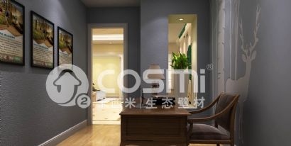 diatom mud texture paint -the study