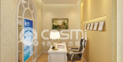 diatom mud silk paint - the study