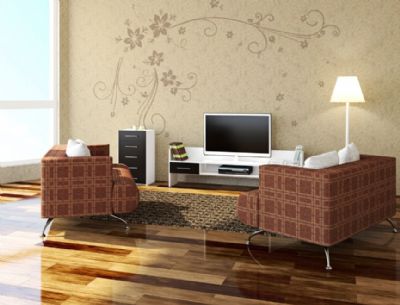 Releasing anion diatom mud wall stikers