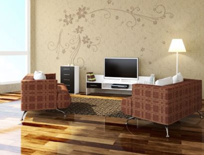 Releasing anion diatom mud wall stikers