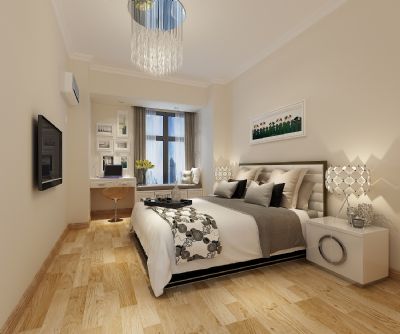 Interior diatom mud wall paint