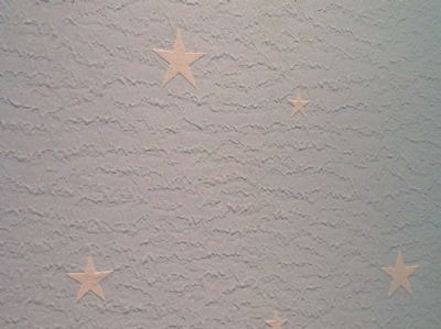 Eco-friendly wall texture paint