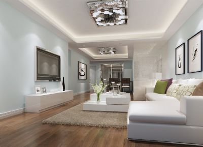 Humidity regulation diatom mud wall paint