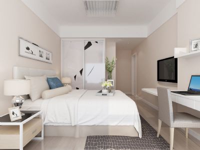 Long lasting interior wall paint