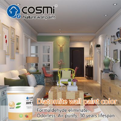 Interior house paint