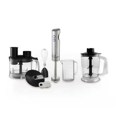 Stainless Steel Hand Blender