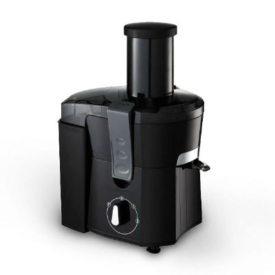 500W Whole Fruit Juicer