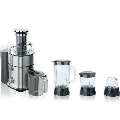 600W/800W Stainless Steel Whole Fruit Juicer