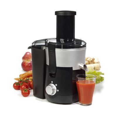 600W Whole Fruit Juicer