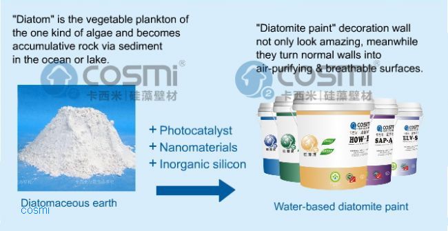 Environmental friendly diatom wall paint texture
