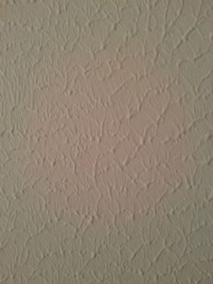 diatom mud wall texture