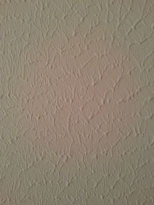 diatom mud wall texture