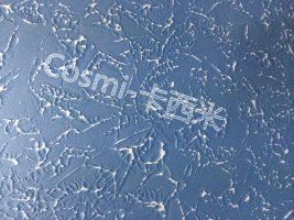 diatom mud wall texture