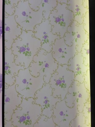 diatom mud silk paint
